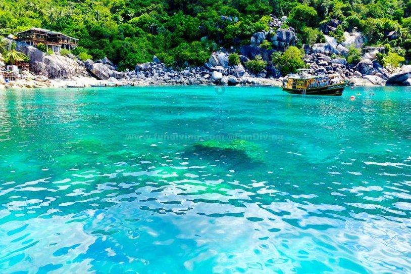 人流后一天吃了6个鸡蛋影响吗游戏画面